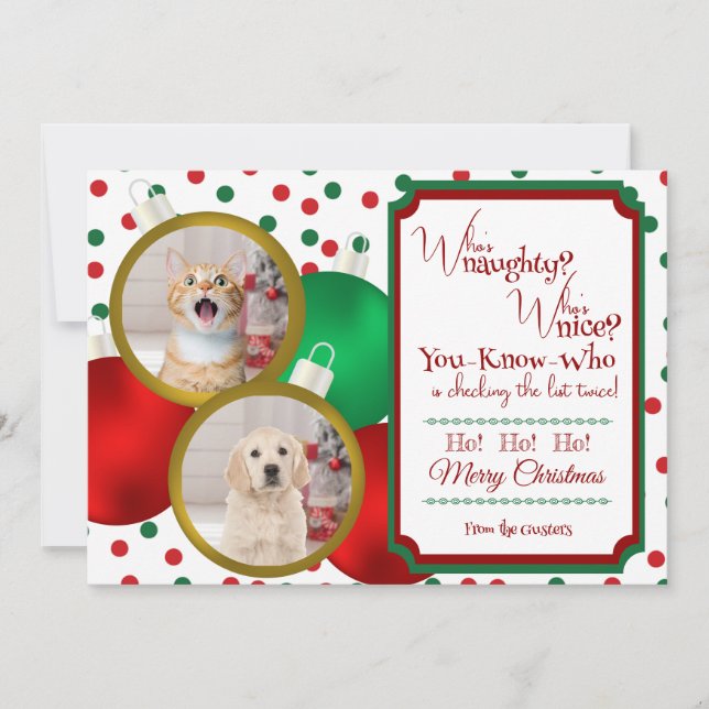 Naughty or Nice Christmas Flat Holiday Card (Front)