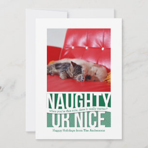 Naughty or Nice Funny Christmas Pet Card