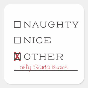 Naughty or Nice Funny Christmas Stickers
