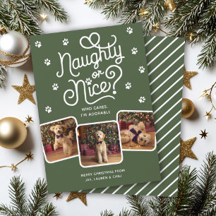 Naughty or Nice Funny Cute Pet Dog Cat 3 Photo  Holiday Card