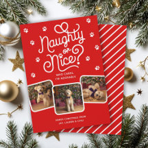Naughty or Nice Funny Cute Pet Dog Cat 3 Photo 