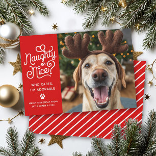 Naughty or Nice Funny Cute Pet Dog Cat Photo Holiday Card