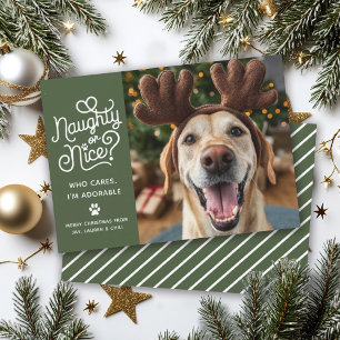 Naughty or Nice Funny Cute Pet Dog Cat Photo Holiday Card