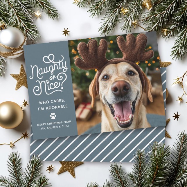 Naughty or Nice Funny Cute Pet Dog Cat Photo Holiday Card (Creator Uploaded)
