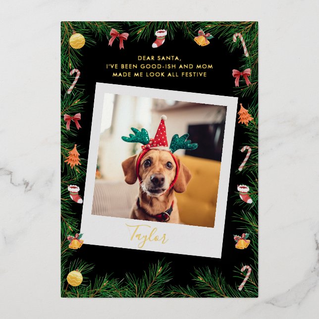 Naughty or Nice Funny Pet Dog Custom Christmas Foil Holiday Card (Front)