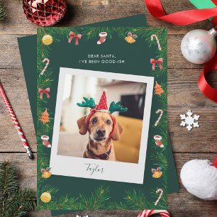 Naughty or Nice Funny Pet Dog Custom Christmas Holiday Card