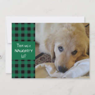 Naughty or Nice Green Plaid HAPPY HOLIDAYS Holiday Card