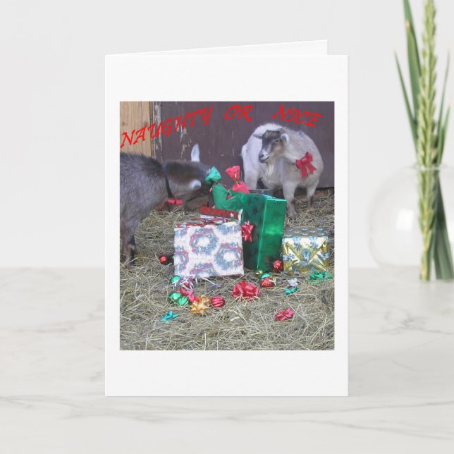 "Naughty or Nice" Holiday Card (Front)