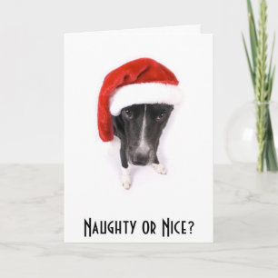 Naughty or Nice? Holiday Card