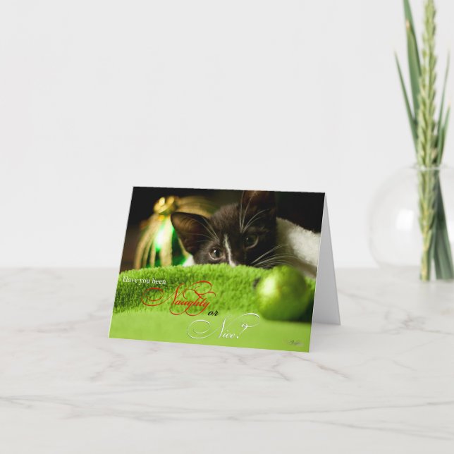 Naughty or Nice Kitten Holiday Card (Front)