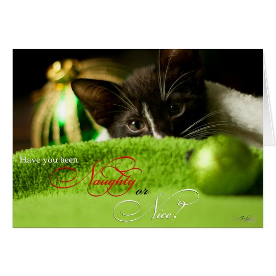 Naughty or Nice Kitten Holiday Card