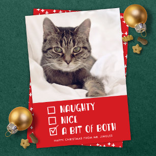 Naughty OR Nice OR Both Funny Pet Holiday Photo Card