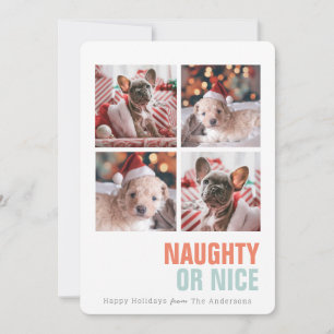 Naughty or Nice Simple Pet 4 Photos Holiday Card