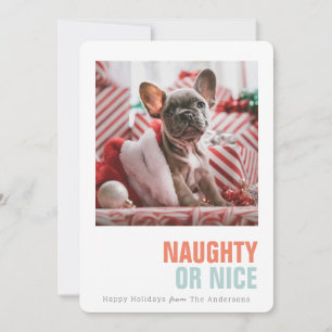 Naughty or Nice Simple Pet Holiday Photo Card