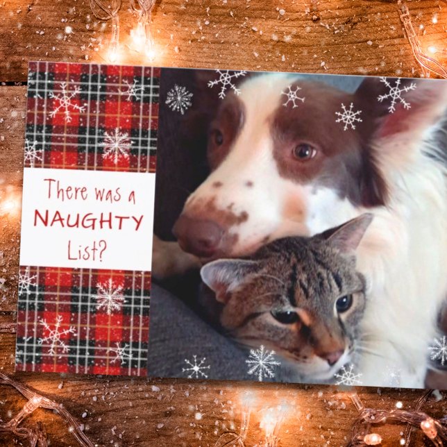 Naughty or Nice Snowflake Red Plaid Your Greeting  Holiday Card (Creator Uploaded)