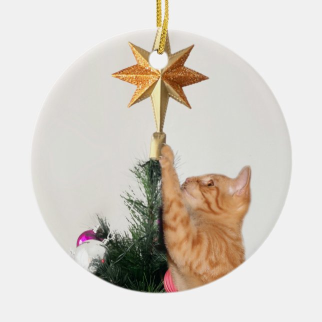 Naughty orange tabby Christmas Ceramic Tree Decoration (Front)