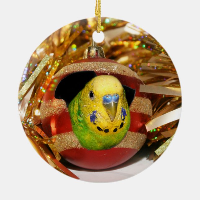 Naughty parakeet Christmas Ceramic Tree Decoration (Back)