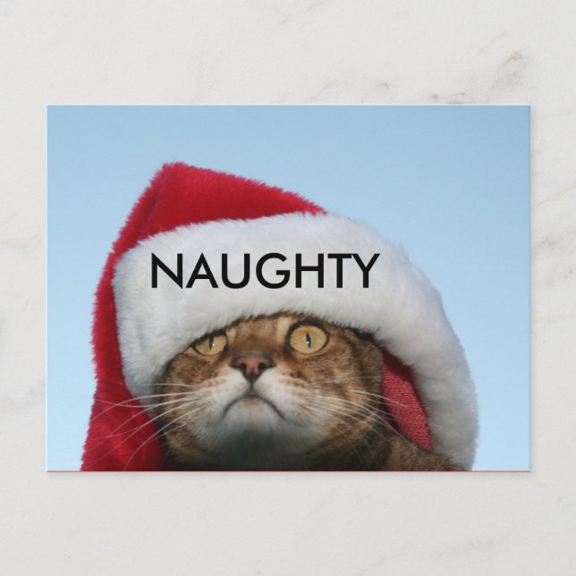 NAUGHTY POSTCARD (Front)
