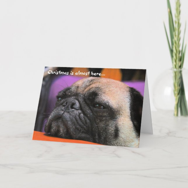 Naughty Pug Christmas Card (Front)