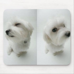 naughty-puppies mouse mat