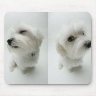 naughty-puppies mouse mat