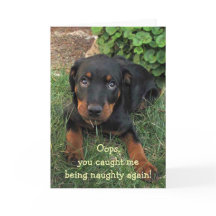 Naughty Puppy Mother's Day Card