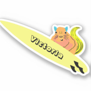 Naughty Squirrel #1989 Surfing