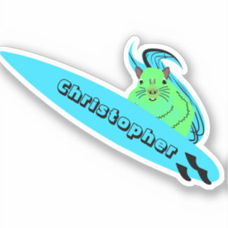 Naughty Squirrel #453 Surfing