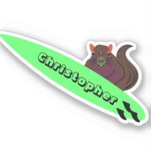 Naughty Squirrel #541 Surfing