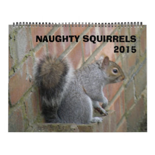 Naughty Squirrels 2015 Calendar