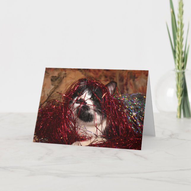 Naughty tuxedo kitty Christmas Holiday Card (Front)