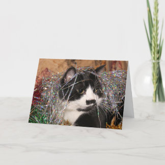 Naughty tuxedo kitty Christmas Holiday Card