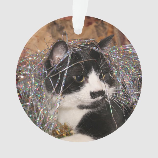 Naughty tuxedo kitty Christmas Ornament (Front)