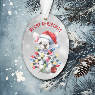 Naughty White French Bulldog in Decorations
