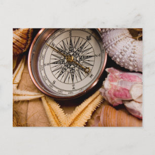 Nautical Adventure Postcard
