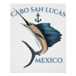 Nautical Anchor Sailfish Cabo San Lucas Poster