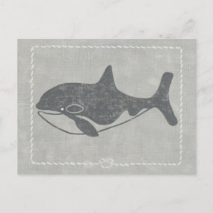 Nautical Killer Whale Postcard