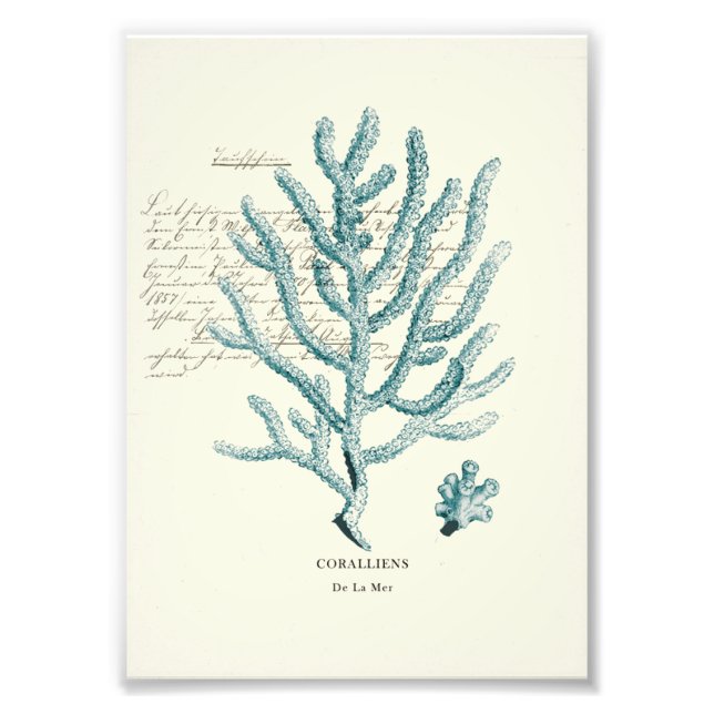 Nautical Mile Photo Print (Front)