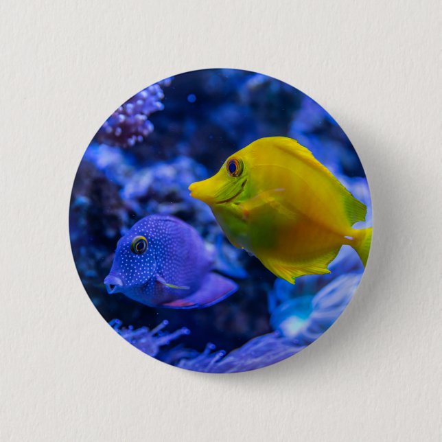 Nautical Photos Marine Animal Photography Fish Pic 6 Cm Round Badge (Front)