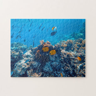 Nautical Photos Marine Animal Photography Fish Pic Jigsaw Puzzle