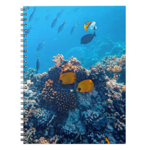 Nautical Photos Marine Animal Photography Fish Pic Notebook