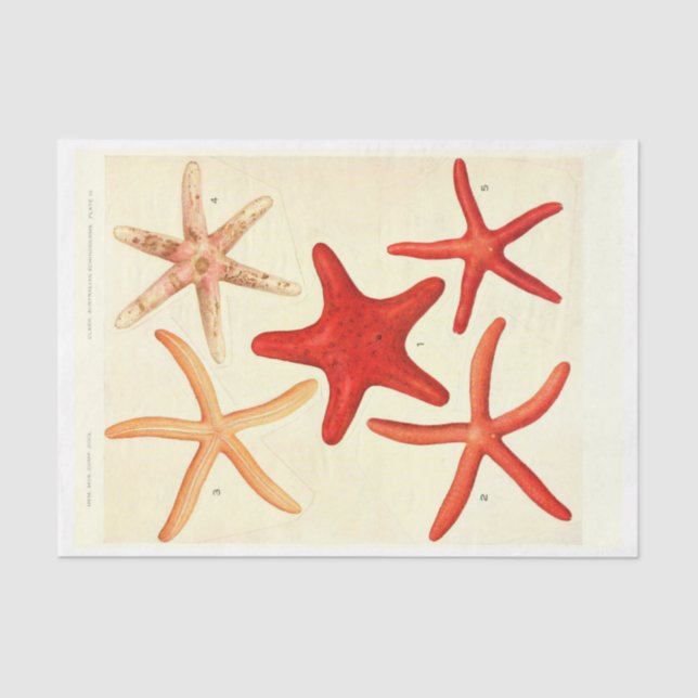 Nautical Red Starfish Ephemera Decoupage Tissue Paper (Front)