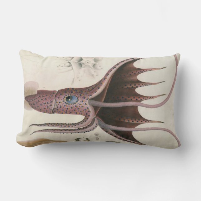 Nautical/Sea Life/Squid/Octopus Lumbar Pillow (Front)