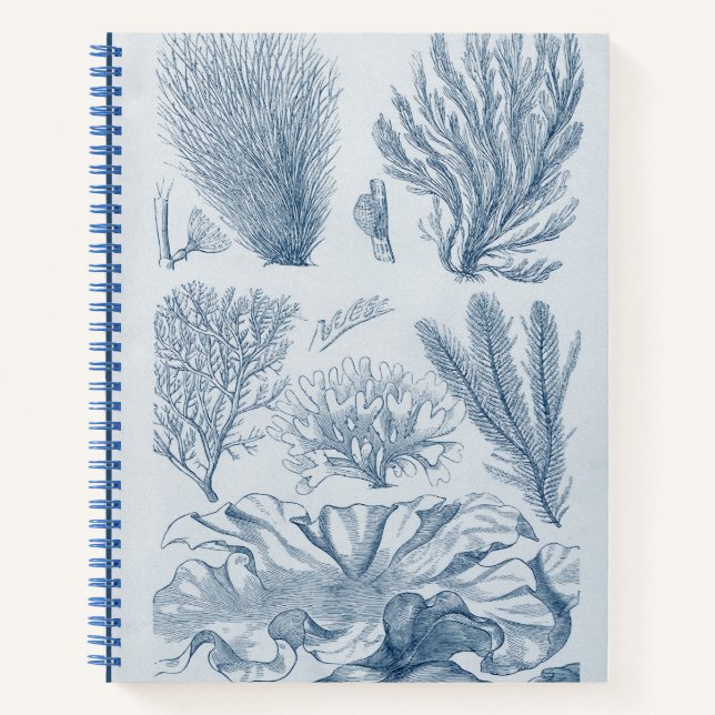 Nautical Sealife Notebook (Front)