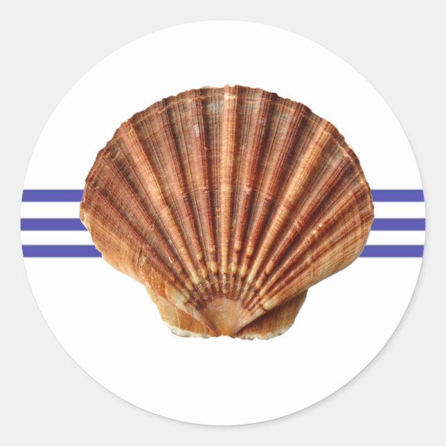 Nautical Seashell - Circle Sticker (Front)