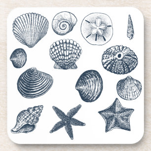 Nautical shells coaster