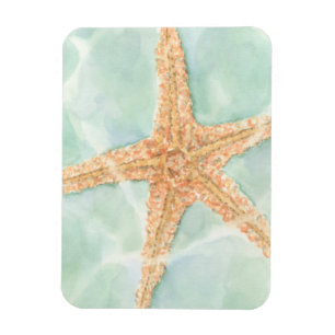 Nautical Starfish in Water Magnet