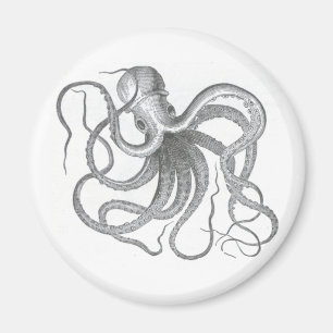 Nautical steampunk octopus vintage design magnet