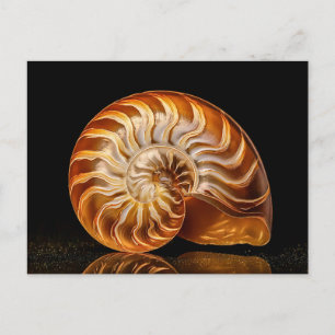 Nautile, golden shell postcard