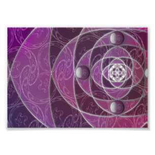 Nautilina Photo Print